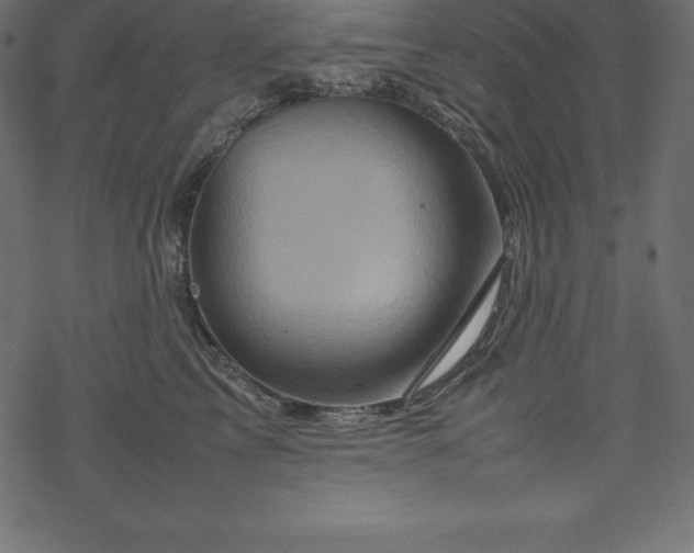 X0000070190713200605301313