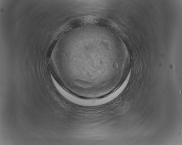 X0000070190715200605301312