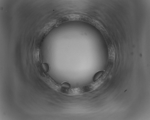 X0000070190717200605301312