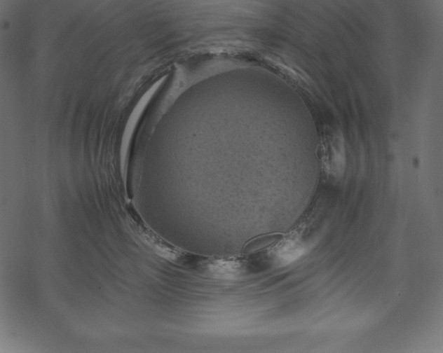 X0000070190718200605301312