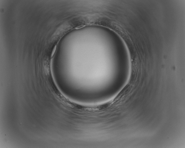 X0000070190719200605301312