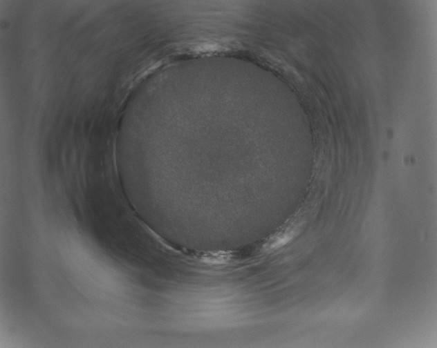 X0000070190720200605301312