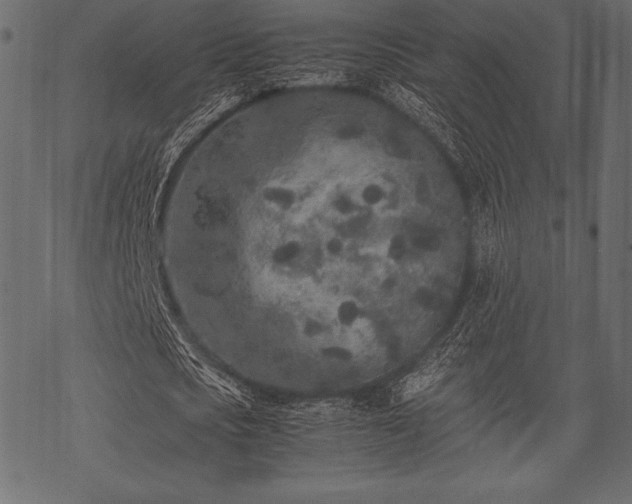 X0000070190721200605301312