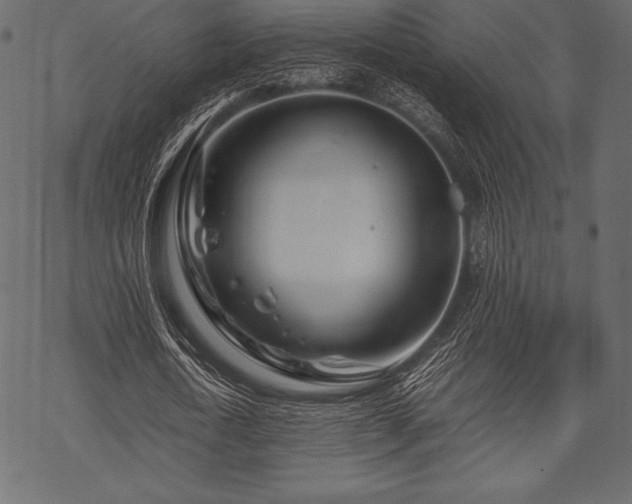 X0000070190722200605301312