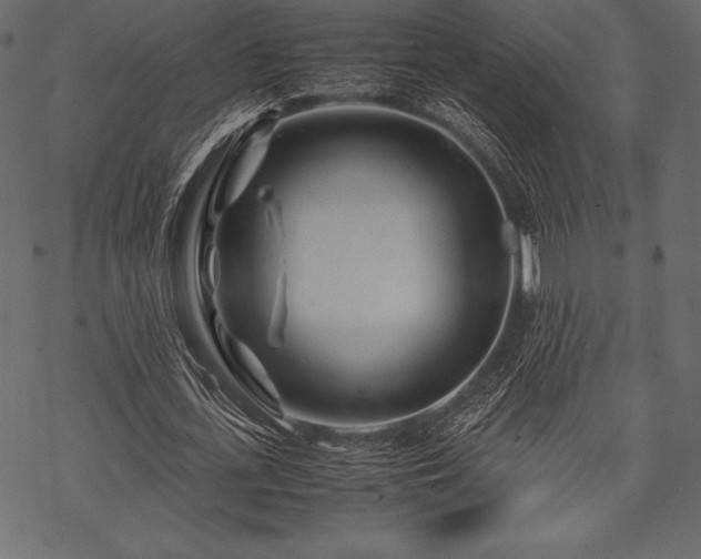 X0000070190723200605301312