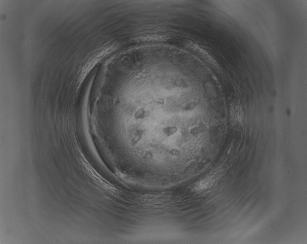 X0000070190725200605301312