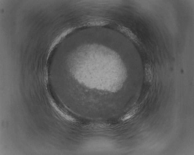 X0000070190726200605301312