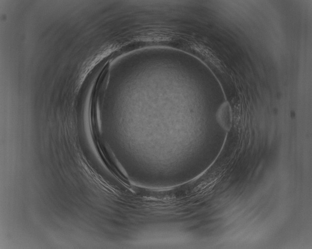 X0000070190727200605301312