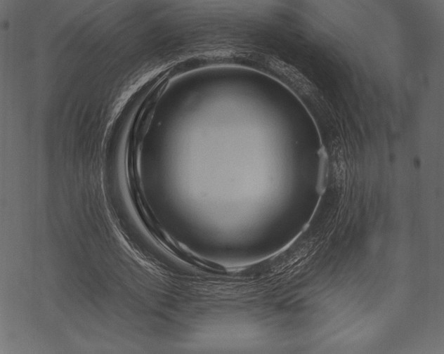 X0000070190728200605301312