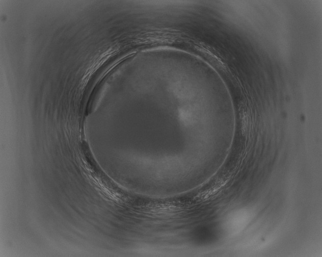 X0000070190729200605301312