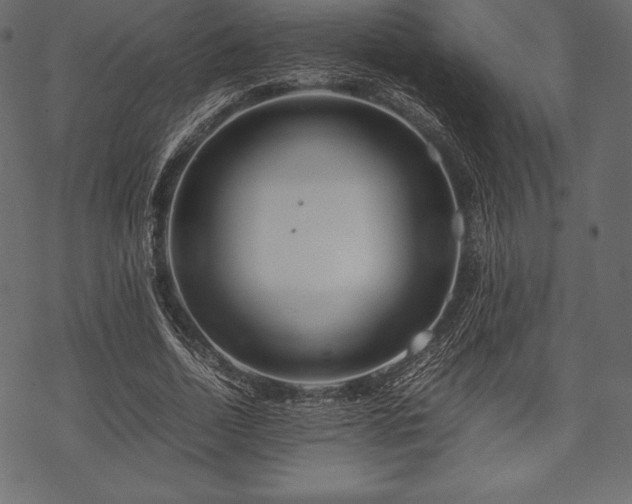 X0000070190730200605301312