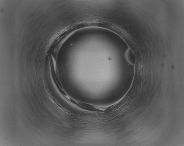 X0000070190732200605301312