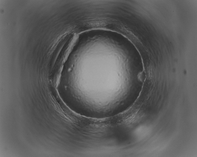 X0000070190733200605301312