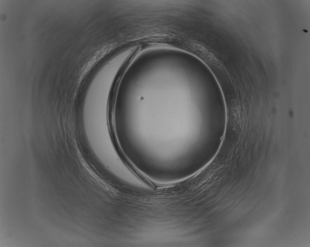 X0000070190734200605301312