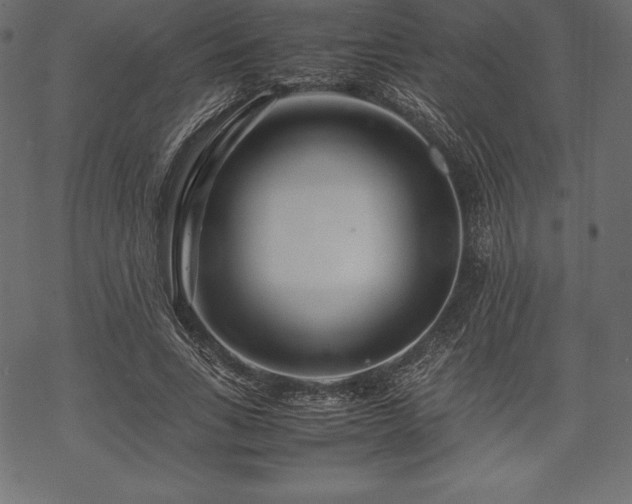 X0000070190735200605301312