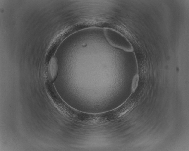 X0000070190736200605301312