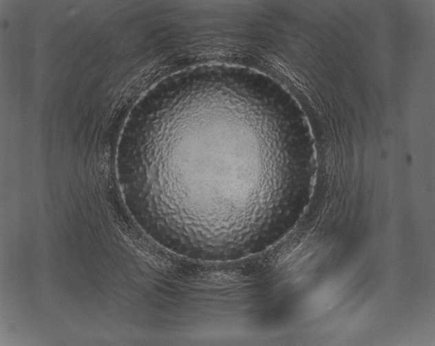 X0000070190737200605301312