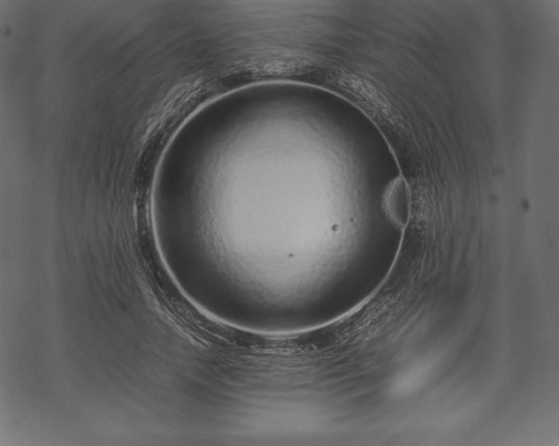 X0000070190738200605301312