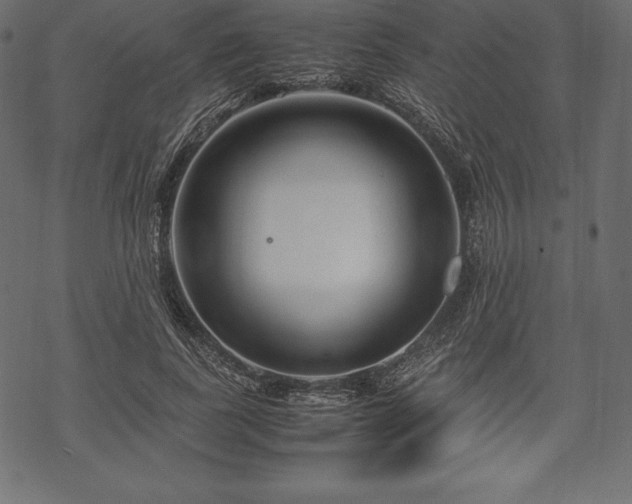 X0000070190739200605301312