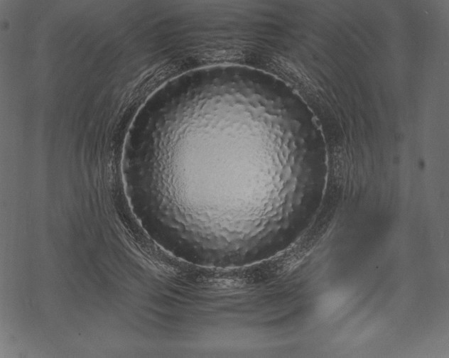 X0000070190741200605301312