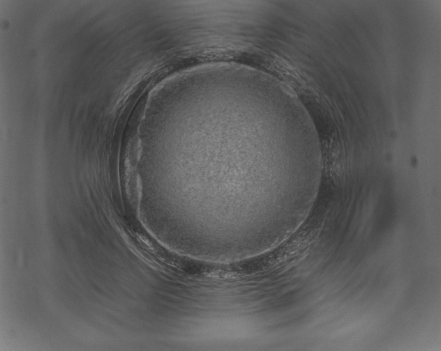 X0000070190742200605301312