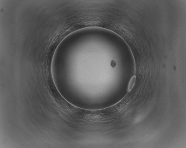 X0000070190743200605301312