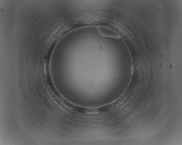 X0000070190744200605301312