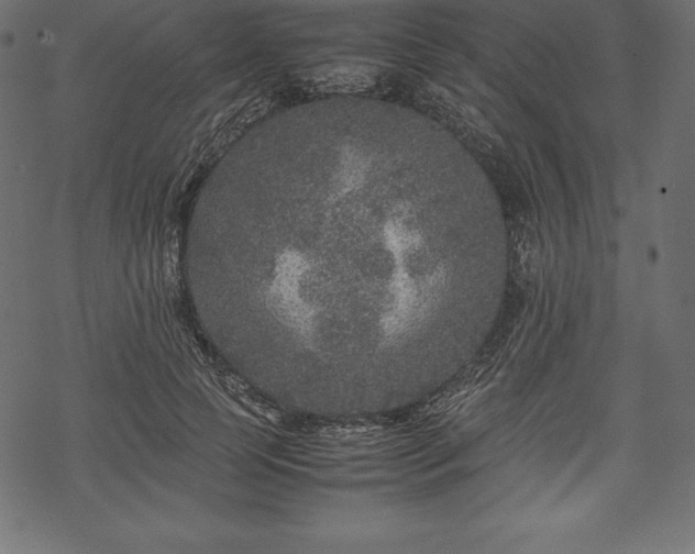 X0000070190745200605301312