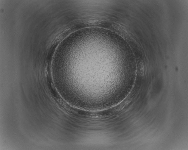 X0000070190746200605301312