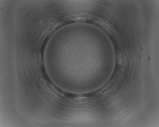 X0000070190748200605301312