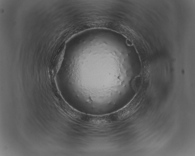 X0000070190749200605301312