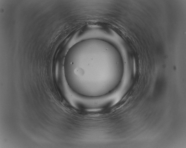 X0000070190750200605301312