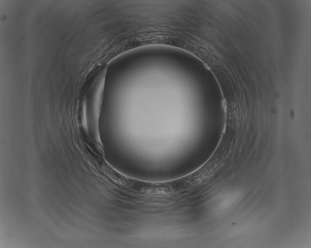 X0000070190751200605301312