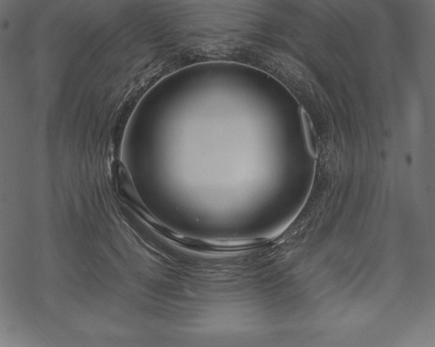 X0000070190752200605301312