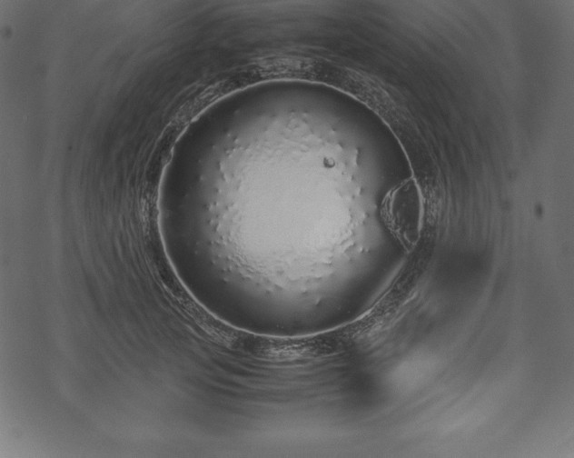 X0000070190753200605301312