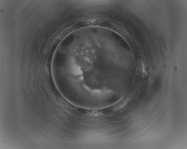 X0000070190754200605301312