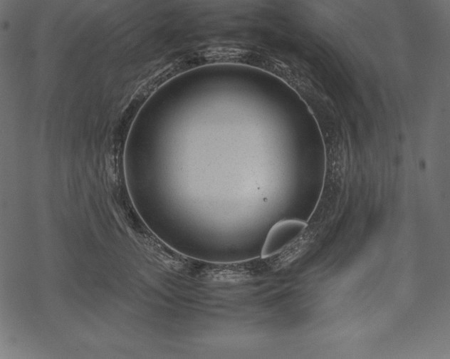 X0000070190755200605301312