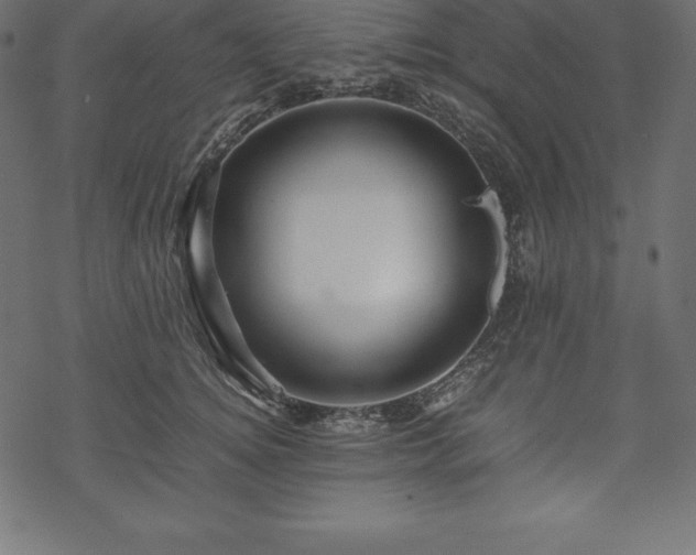 X0000070190756200605301312