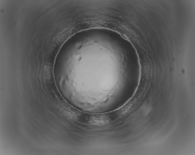 X0000070190757200605301312