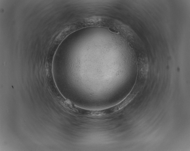 X0000070190758200605301312