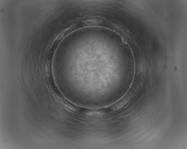 X0000070190759200605301312