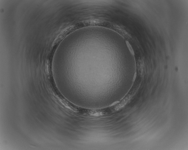 X0000070190760200605301312