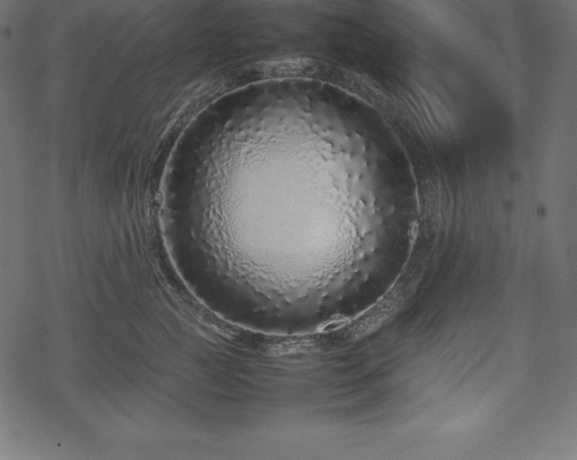 X0000070190761200605301312