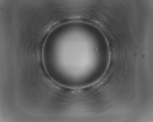 X0000070190762200605301312