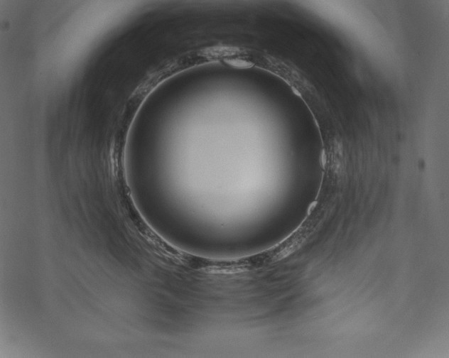 X0000070190763200605301312