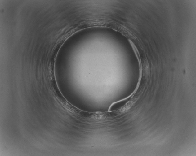 X0000070190764200605301312