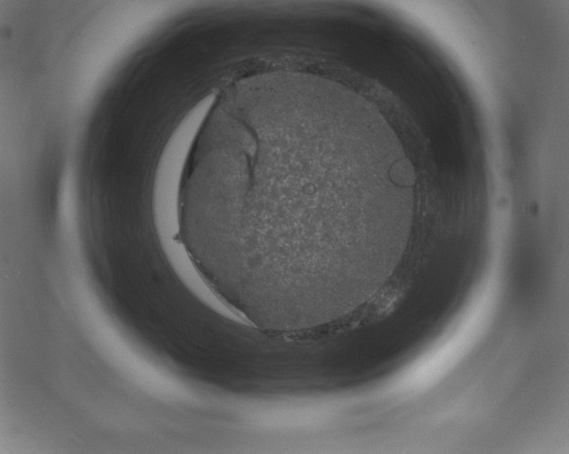 X0000070190765200605301312