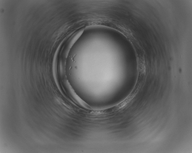 X0000070190766200605301312