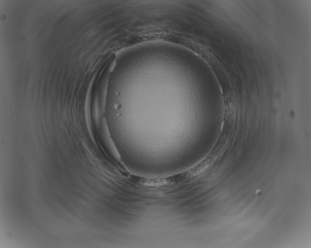 X0000070190767200605301312