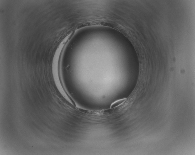 X0000070190768200605301312